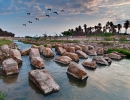 Wadi Hanifa Wetlands Riyadh Saudi Arabia